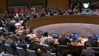 UN Security Council calls on all sides in Syria conflict to respect new ceasefire