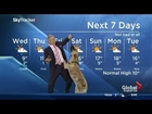Ripple the dog doesn't care about Mike Sobel and the weather forecast