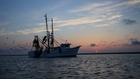 Head On: Shrimping in the Lowcountry