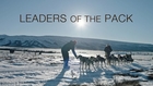 LEADERS OF THE PACK