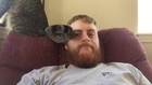 Cat Slaps Tail Across Owner's Face