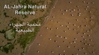 Al-jahrah natural reserve محمية الجهراء الطبيعية
