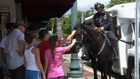 Police horse becomes Little Havana sensation