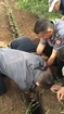 Firefighters rescue stuck pup in Yokneam, Israel