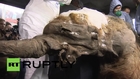 Russia: Yuka the 40,000-year-old mammoth arrives in Moscow
