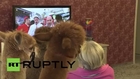 Germany: This elderly care home spreads the love with ALPACAS!