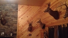 Some awesome trophies at my hunting partners house.