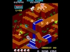 Arcade Game: Congo Bongo (1983 Sega)