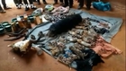 Thailand raids Tiger Temple removing big cats