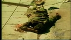 Hectic Urban Combat Footage - El Salvador's Civil War - 1988