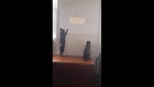 Cat Attacks Birds Projected on Wall