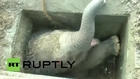 Sri Lanka: Baby elephant safely yanked from a drain in Hambantota