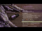 doTERRA Lavender Essential Oil - Organic Lavender Essential Oil