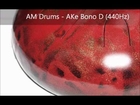 AM Drums - steel tongue drums - AkeBono D (440Hz)