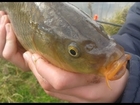 float fishing for carp and roach at massingham 10 03 14