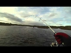 PP angler fishing team 3&4