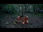 Light My Fire | Naked and Afraid