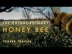 The Extraordinary Honeybee (Teaser Trailer) | A 360 VR Experience | Häagen-Dazs®