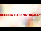Regrow Hair Produtcs For Men and Women Naturally