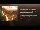Grand Concerto for Guitar and Orchestra No. 1 in A Major, Op. 30: III. Polonaise. Allegretto