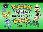 Gym Leader #2 - Pokemon Emerald Randomizer Nuzlocke [Part 12]