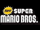 New Super Mario Bros DS 100% Walkthrough Part 2 [720p]