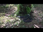 Villagers capture 17ft-long king cobra after it killed a python