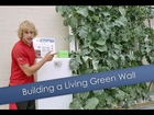 How Do Living Green Walls Work?
