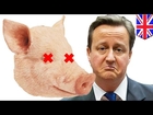 #PigGate: New book says PM Cameron put his dong into dead pig's mouth at Oxford party - TomoNews