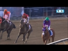 California Chrome Wins 139th Preakness Stakes | LIVE 5-17-14