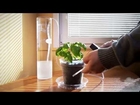 Daisy.si - Smart Automatic Watering System