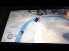 Skate 3 screwing around and hall of meat