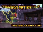 Garrison Pet Battle: The Beakinator!