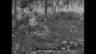 Brutal Combat With The Japanese On Rendova Island