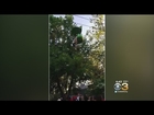 Girl Gets Stuck, Falls From Ride At Six Flags Amusement Park