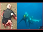 Extreme Animal Attacks on Humans in The Water