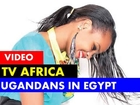 TV Africa Sweden 
