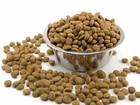 WHAT YOUR DOG EATS IS IMPORTANT TO ITS LIFE SPAN!