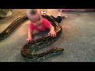 Baby Plays With Python