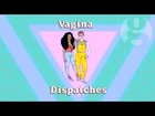 Vagina Dispatches episode one: the vulva