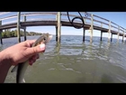 Fishing the Flats Port St. Lucie