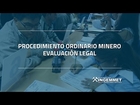 PROCEDIMIENTO ORDINARIO MINERO Evaluación Legal   Abg  Carolina  Palomino Caballero