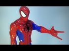 Spider Man | Mr. Picture
