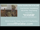 Morris County NJ Dog Boarding