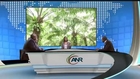 AFRICA NEWS ROOM du 04/02/14 - AFRIQUE - Formation au service des metiers de l agriculture Partie -2