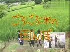 #19 - 須磨の山を探索 (29.08.2008)