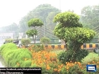 Dunya News - Heavy rain lashes Lahore, other cities of Punjab