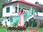 Pashto Songs And Hot Sexy Dance Pashto New Dance Album Dawran Da Khokulo Dy 2014 - (5)