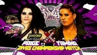 Paige vs Tamina Snuka - WWE Extreme Rules 2014