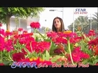 Gham De Lewane Kram Janana Dilraj Ablum Meena - Pashto Video Songs